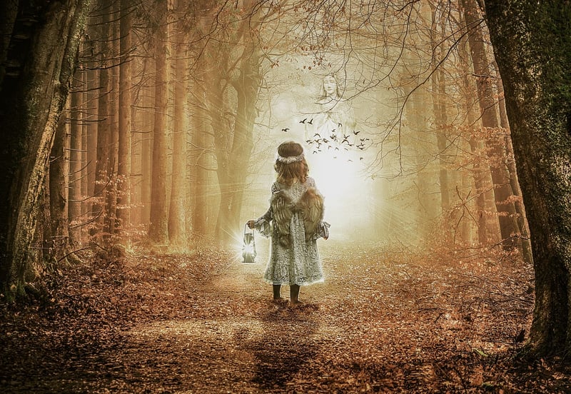 Whimsical Woodland